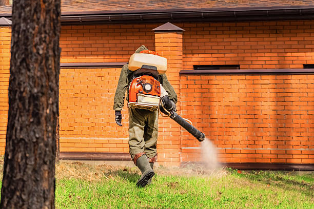 Bed Bug Clearance Verification and Documentation in Temple Terrace